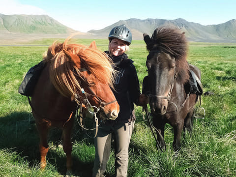 Whales and Horses