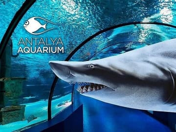 Antalya Aquarium and Fun Park Half-Day Tour with Pickup
