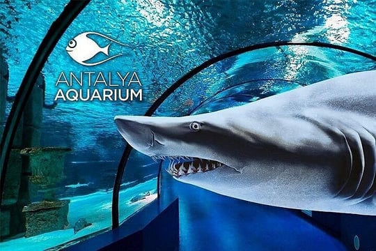 Kemer Private Antalya Aquarium Tour | All Inclusive