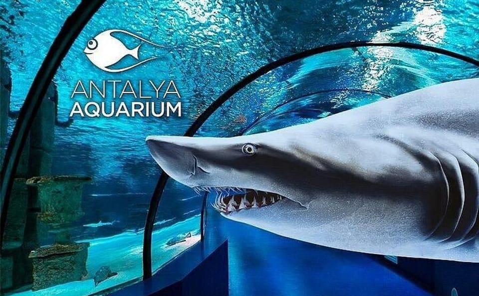 Antalya Aquarium and Fun Park Half-Day Tour with Pickup