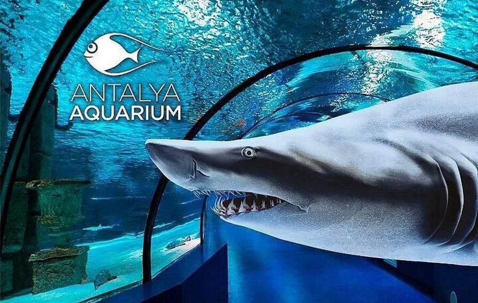 Antalya Aquarium and Fun Park Half-Day Tour with Pickup