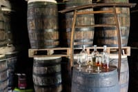 Private Rum Factory Tasting Tour with Cave of Wondrs Visit 1