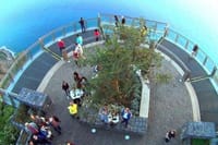 Madeira Wine Tastings , Vineyards and Skywalk, Full day tour in 4x4 Open Roof  2