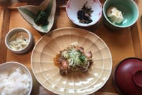 Flavors of Japan Food Tour in Tokyo 3