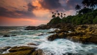 CEYLON BEACH & SAFARI EXPERIENCE  1