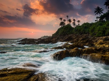 Ceylon Beach and Safari Tour in Katunayake, Sri Lanka