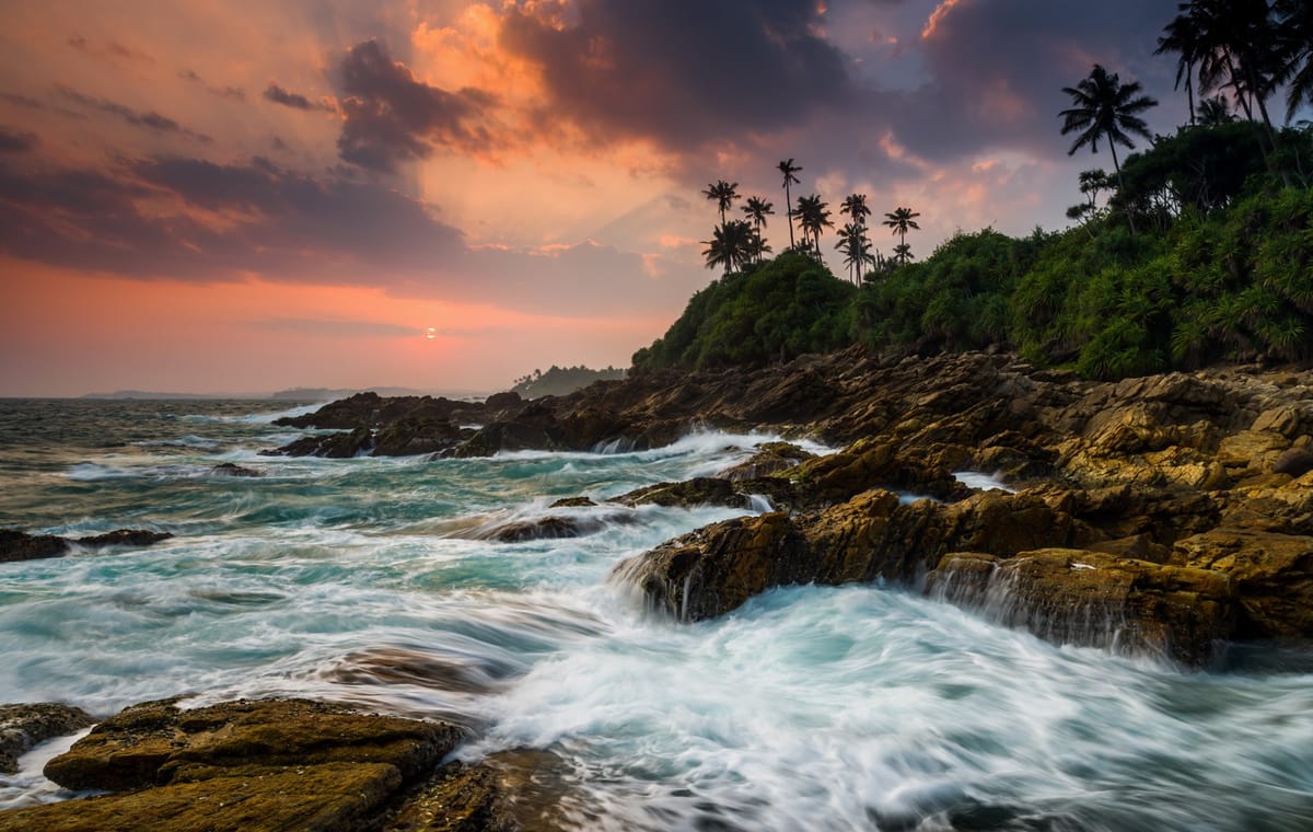 CEYLON BEACH & SAFARI EXPERIENCE