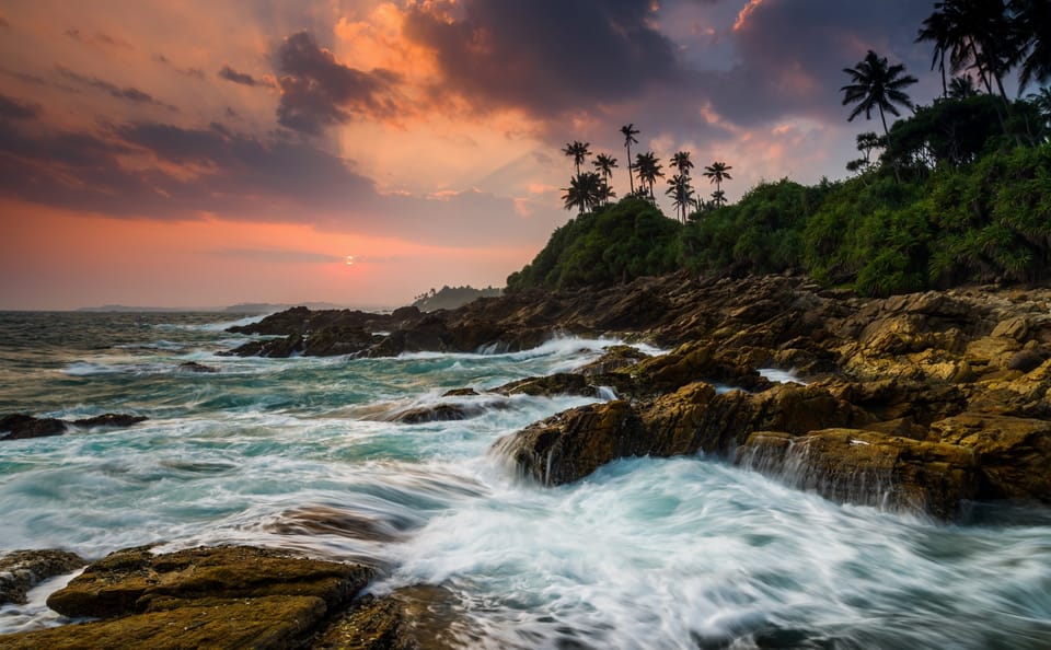 Ceylon Beach and Safari Tour in Katunayake, Sri Lanka