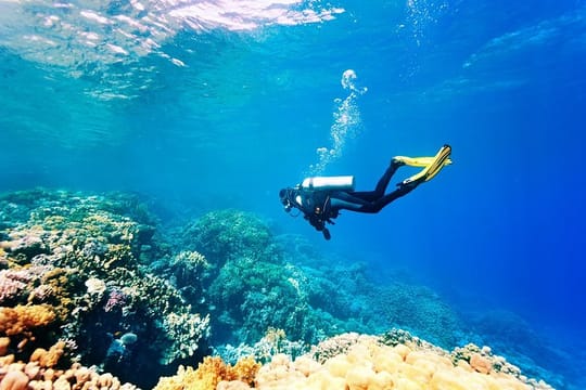 Kusadasi: Scuba Diving Experience for Beginners w/Instructor incl. Transfer