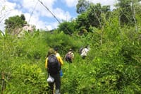 Private Trekking Tour to The World Heritage Temples 7
