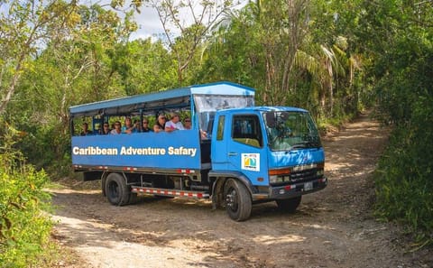 Eco Safari Adventure and Cultural Tour in Punta Cana