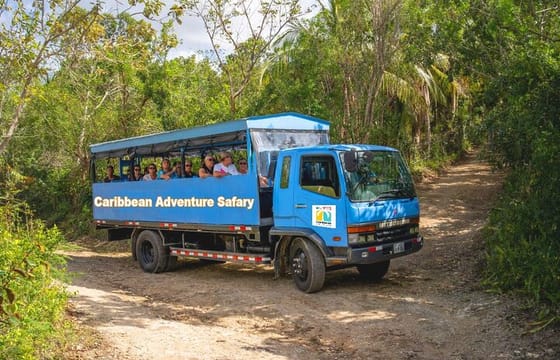 Full Day Eco Safari Adventure and Cultural Tour