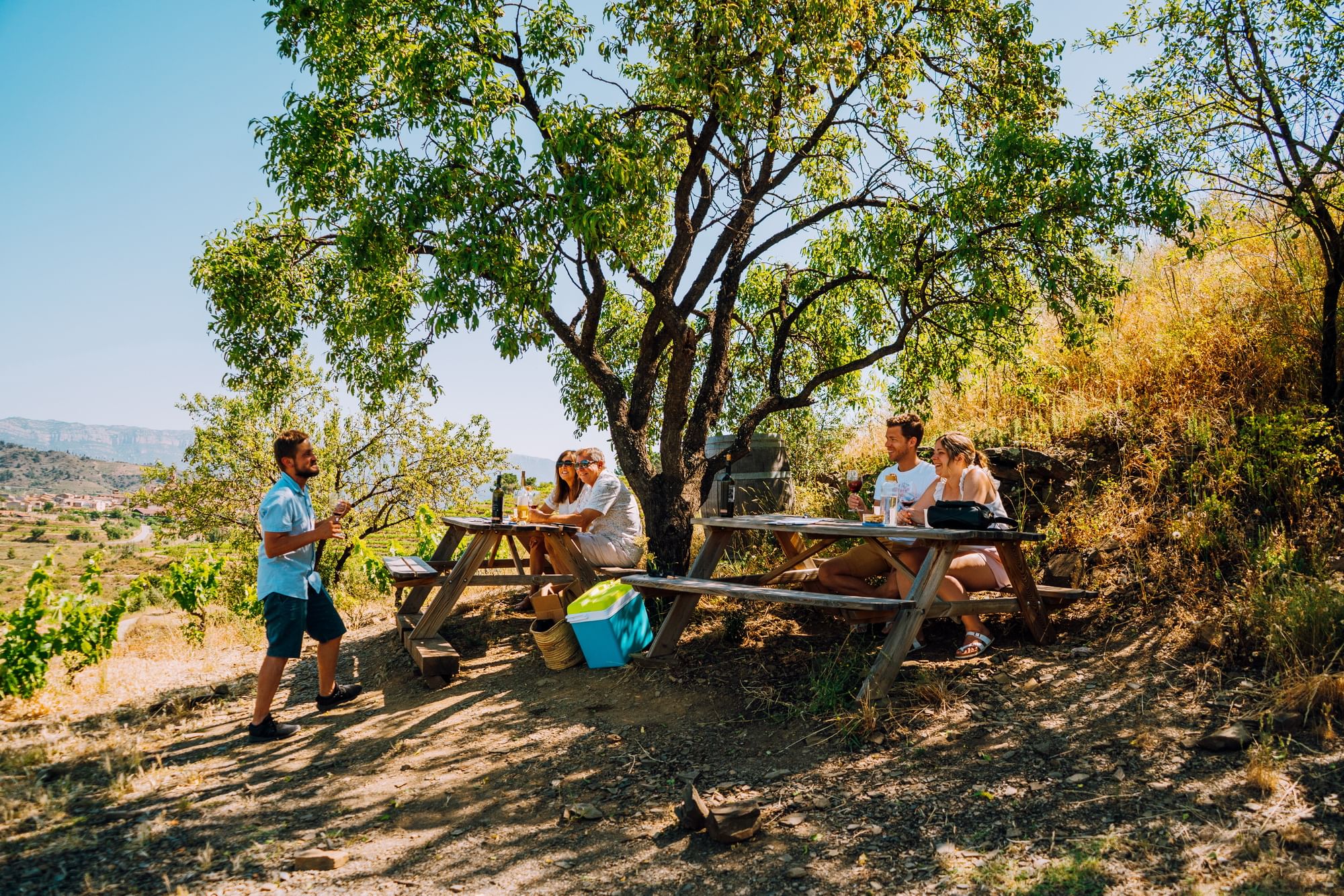 Wine & Olive oil Tour in the Priorat Wine Region