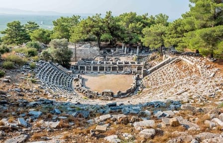 Priene, Miletus, Didyma (PMD) Guided Tour From Izmir