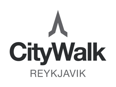 Reykjavik Walking Tour small group - CityWalk, photo 3