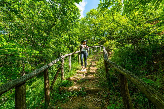 Meteora Food and Wine Private Tour from Kalambaka