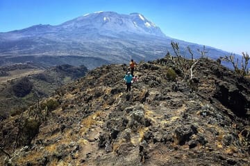Mount Kenya National Park Full-Day Hike