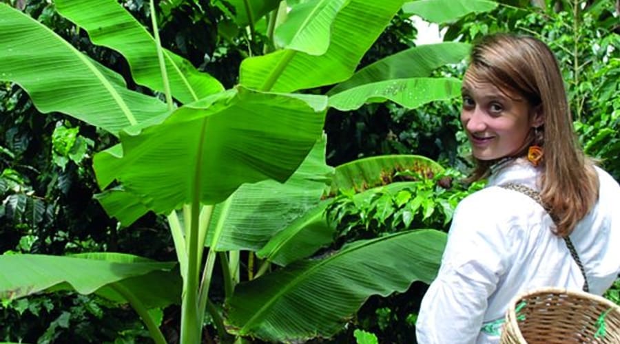 Coffee Tour: Agroecological Tour and Tasting