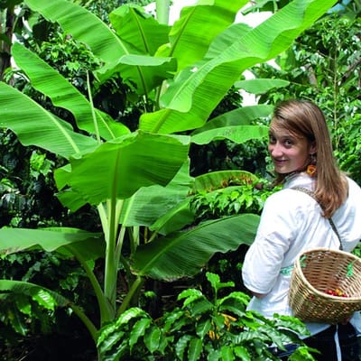 Coffee Tour: Agroecological Tour and Tasting