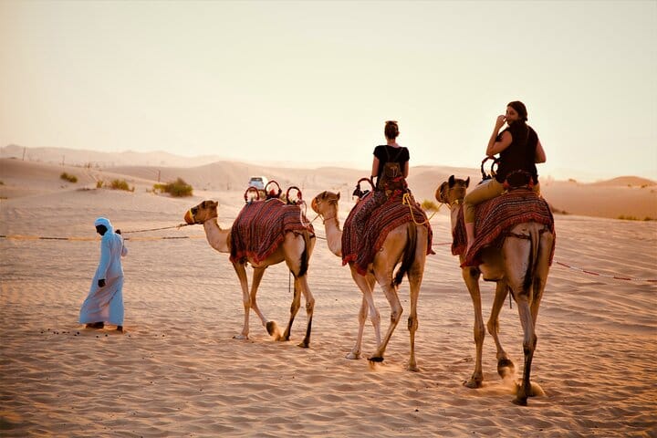 Camel Trekking in Abu Dhabi 4