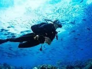 Scuba Diving Adventure in Kalkudah, Sri Lanka
