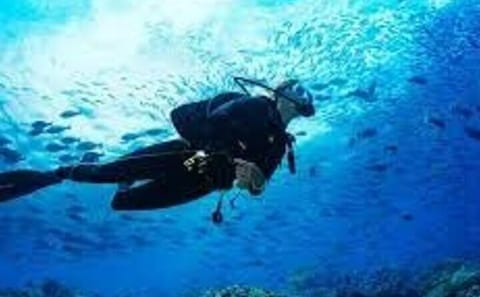 Scuba Diving Adventure in Kalkudah, Sri Lanka