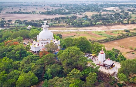 Bhubaneshwar and Bhitarkanika 5-Day Cultural and Wildlife Tour