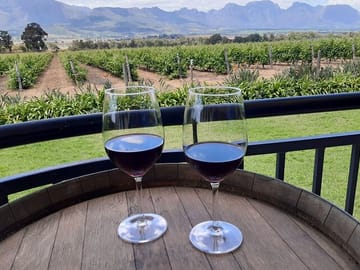 Private Wine Tasting Tour in Franschhoek and Paarl from Cape Town