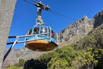 Cape Town Table Mountain Cableway and Hiking Guided Tour