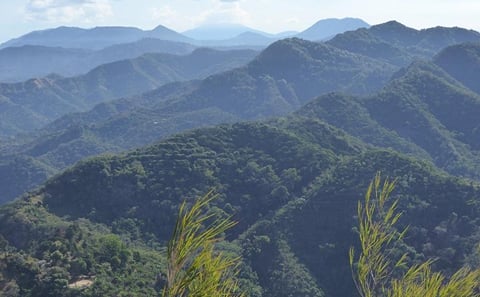 Tour El Imposible National Park Day Trip from San Salvador