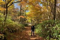 Shinhotaka Ropeway & Hiking Day Tour from Takayama 5