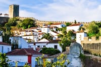 Private Tour to the Sanctuary of Fatima, Nazare, and Obidos 6