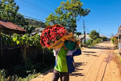 Coffee Class and DaLat Outskirt Tour