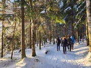 National Park and Smoke Sauna Experience 9