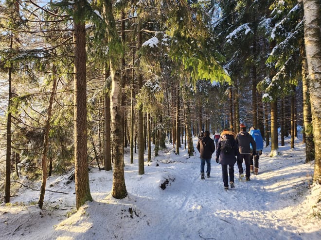 National Park and Smoke Sauna Experience 9