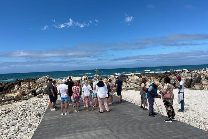 Cape Agulhas, Full-Day Private Tour & Wine Tasting from Cape Town