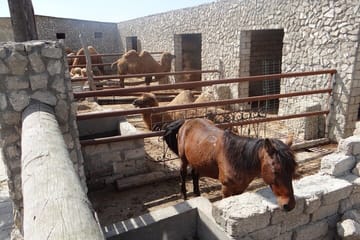 Full Day Archaeological and Ethnographical Private Tour in Baku