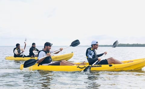 Sunrise Kayaking in Negombo