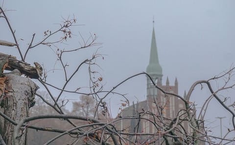 Szczecin Day Tour from Berlin: Explore History and Culture