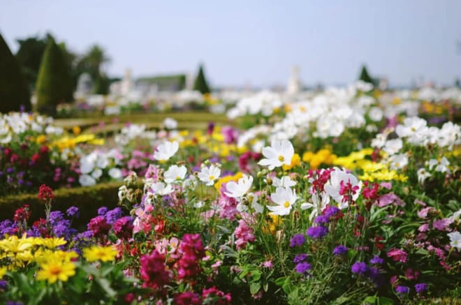 Exclusive Private Versailles & Giverny Day Trip: Palace & Monet’s Gardens