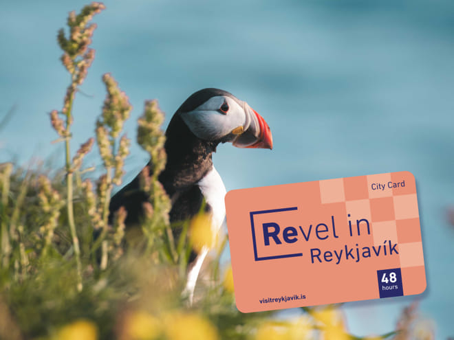 Reykjavik City Card 48 hours