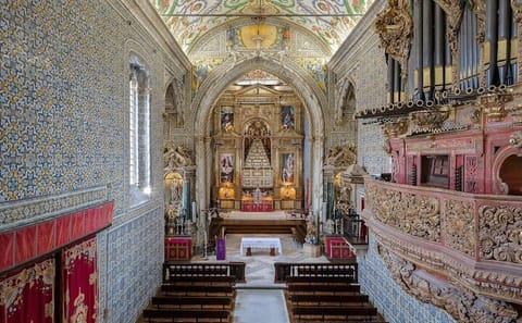 Private Walking Tour of Coimbra University and Historic Sites