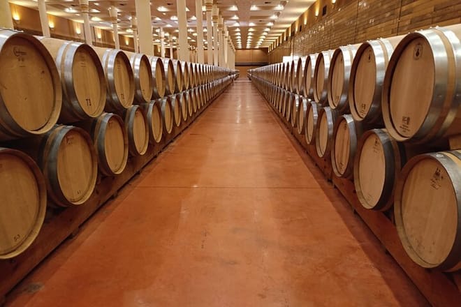 Rioja Day Tour: Explore Three Wineries with Tastings - Photo 11