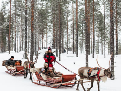 Sendero del Bosque – Una Aventura en Trineo de Renos de 800 Metros en el Bosque de Santa, Rovaniemi