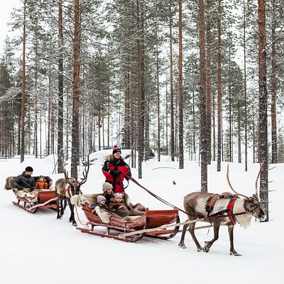 Waldpfad – Ein 800-Meter-Rentierschlitten-Abenteuer im Weihnachtswald von Rovaniemi