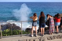 Circle Island on Oahu Full Day Excursion 3