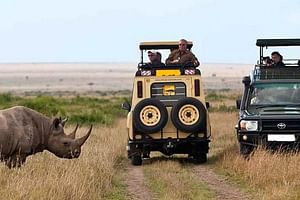 8 Days Discover Kenya Safari with 4x4 Land Cruiser Jeep 