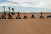 2-Hour Quad Biking Adventure in the Palm Oasis 3