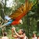 Bird Park