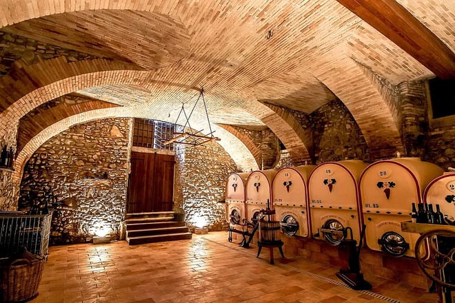 Vineyard Tour and Tasting of Lugana Wines photo 5